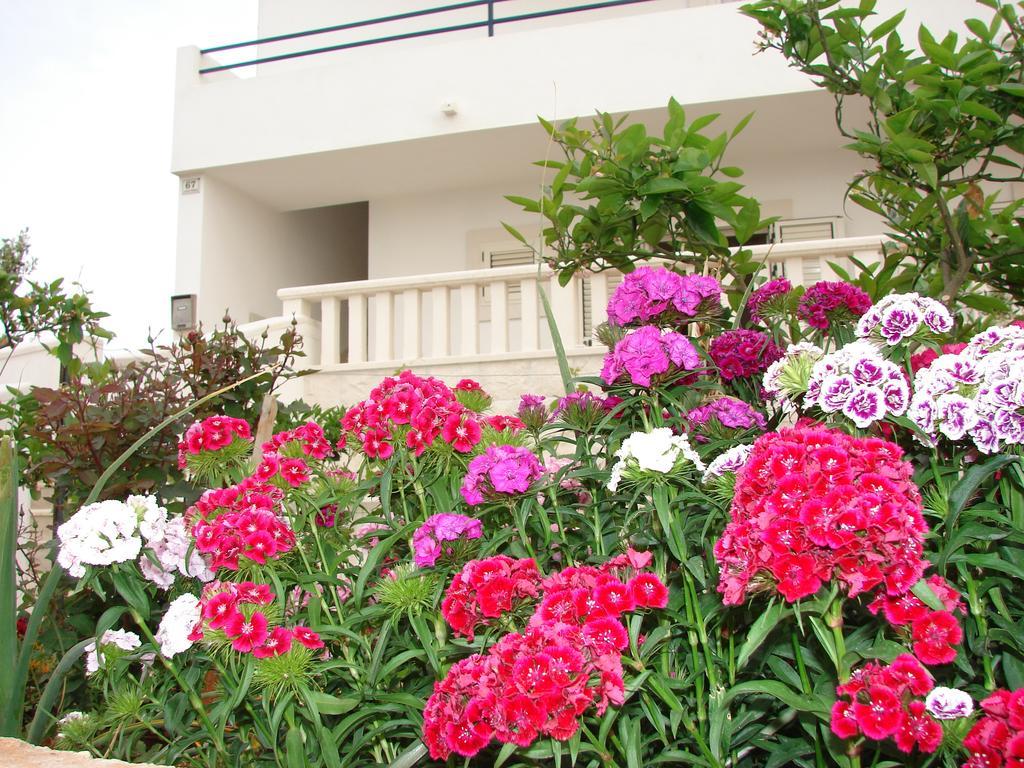 Villa Fio - Hvar Hvar Town Extérieur photo